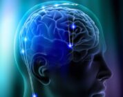 Brain stimulation device enables new understanding of OCD